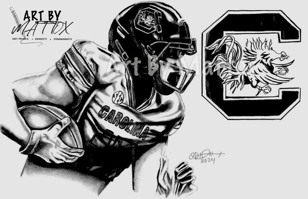 Inspired by " South Carolina Gamecocks "